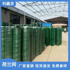 利鑫發(fā)-低碳鋼絲荷蘭網(wǎng)-草綠色鐵絲網(wǎng)-不易磨損-養(yǎng)殖防護