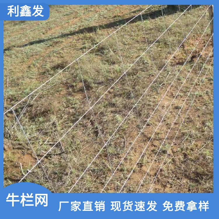 [副本]簡約中秋節(jié)月餅活動促銷寶貝主圖 (1)