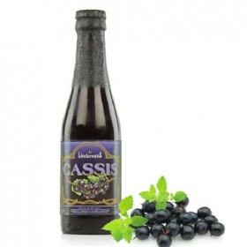 林德曼（Lindemans）啤酒 原瓶進口比利時果味啤酒 女士啤酒 精釀果啤 藍莓啤酒250ml*24瓶