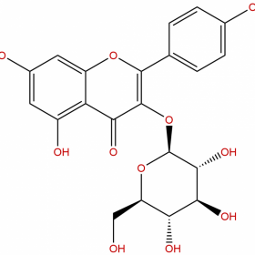 【麥德生】【分析標(biāo)準(zhǔn)品】紫云英苷；山柰酚-3-O-葡萄糖苷  480-10-4 20mg/支 HPLC＞99% 克級(jí)現(xiàn)貨供應(yīng) 順豐包郵 支持貨到付款