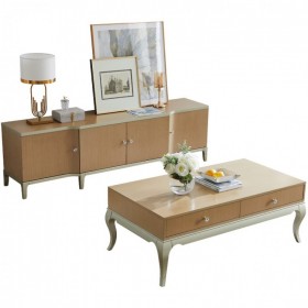 輕奢電視柜茶幾組合客廳香檳色儲(chǔ)物地柜現(xiàn)代簡約美式實(shí)木家具