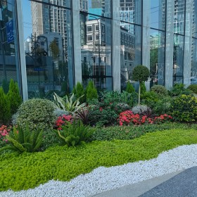 綠化養(yǎng)護 廠家直供 質量保證  綠化植物種植養(yǎng)護 園林