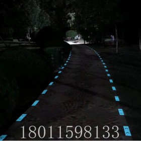 供應(yīng)兒童發(fā)光踏板 游樂場發(fā)光地磚 彩色跑發(fā)光磚 兒童互動(dòng)道具