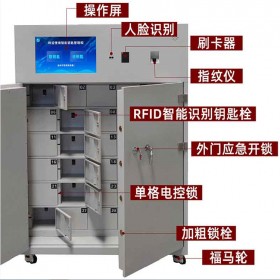 RFID智能柜 人臉識(shí)別智能柜 品牌定制