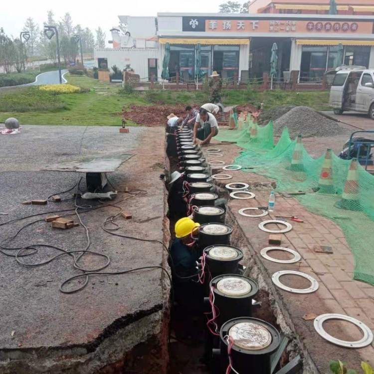 廠家批發(fā)全自動升降柱 專業(yè)團隊生產(chǎn)施工