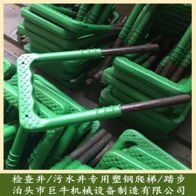 塑鋼爬梯污水井爬梯 窖井爬梯廠家 批發(fā)塑鋼爬梯 國(guó)際塑鋼爬梯