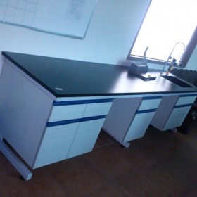 全鋼實(shí)驗(yàn)臺(tái)洗滌臺(tái)高溫臺(tái)定制 實(shí)驗(yàn)室裝修 成都實(shí)驗(yàn)臺(tái)生產(chǎn)安裝