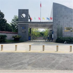 成都全自動(dòng)液壓升降柱廠家 廠家直銷(xiāo)  價(jià)格實(shí)惠 升降柱圖片