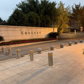 四川全自動(dòng)液壓升降柱 液壓升降柱自動(dòng)升降柱 全自動(dòng)升降柱液壓型  自動(dòng)液壓升降柱 防沖撞系統(tǒng) 安全防護(hù)設(shè)施