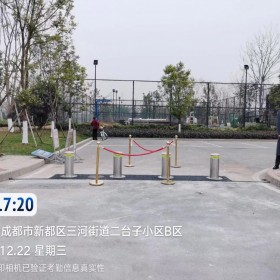 安世科 達(dá)州全自動(dòng)液壓升降柱 廠家備貨 停車場(chǎng)擋車柱 公園升降柱