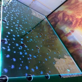 批發(fā)3D通電發(fā)光玻璃,激光內(nèi)雕藝術(shù)玻璃,藝術(shù)玻璃門(mén)