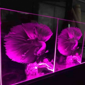 山西太原廠家定制生產8mm鋼化裝飾隔斷激光內雕玻璃 激光發(fā)光玻璃