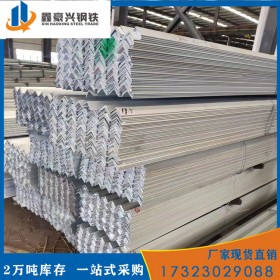 樂山鍍鋅角鋼廠家 優(yōu)質(zhì)熱鍍鋅角鋼 鍍鋅角鋼價格