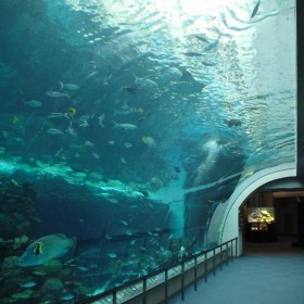 亞克力海底隧道安裝 大型亞克力魚缸定做 海洋主題餐廳設(shè)計(jì)施工