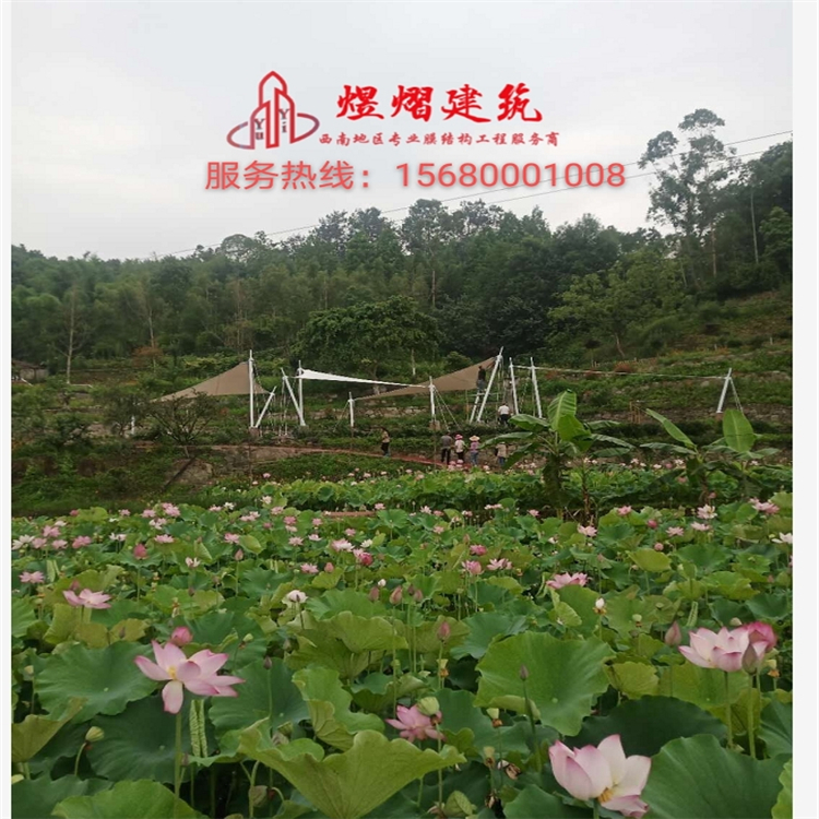 張拉膜結構 專業(yè)停車棚廠家批發(fā) 膜結構體育設施 張拉膜安裝售后一站式服務