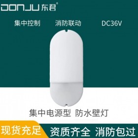 廣東東君照明 防水壁燈 應急照明燈 壁掛 防潮 防塵 IP65 集電 36V 聯(lián)動 DJ-03M
