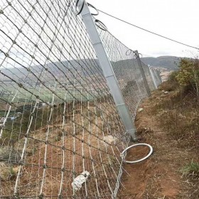 四川被動邊坡防護網(wǎng)廠 主動防護邊坡網(wǎng) SNS邊坡防護網(wǎng)