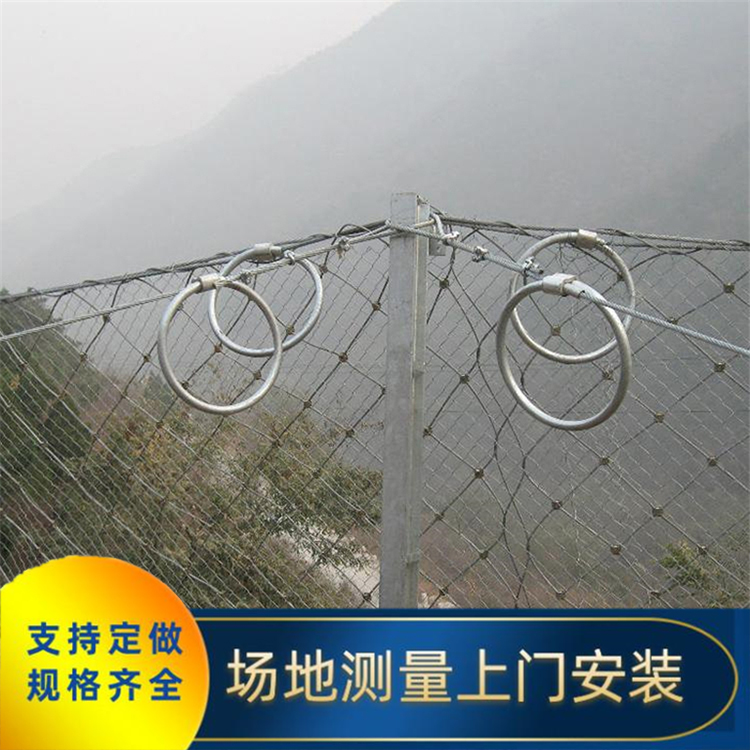 現(xiàn)貨供應(yīng)邊坡防護(hù)石籠網(wǎng) 075型環(huán)形邊坡防護(hù)網(wǎng) 四川川豐金屬邊坡防護(hù)網(wǎng) 路基邊坡防護(hù)網(wǎng)