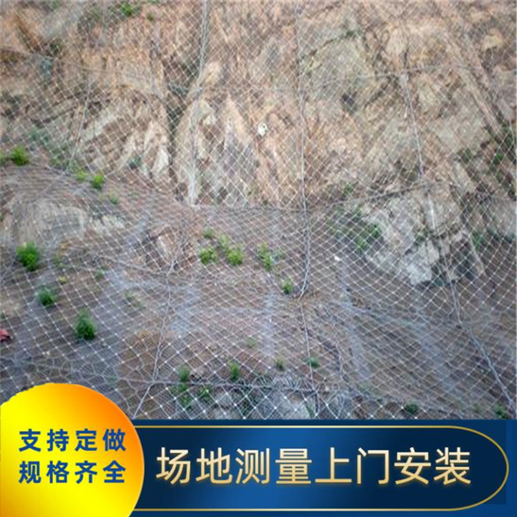 四川川豐金屬 被動環(huán)形邊坡防護(hù)網(wǎng)價格|被動邊坡防護(hù)網(wǎng)