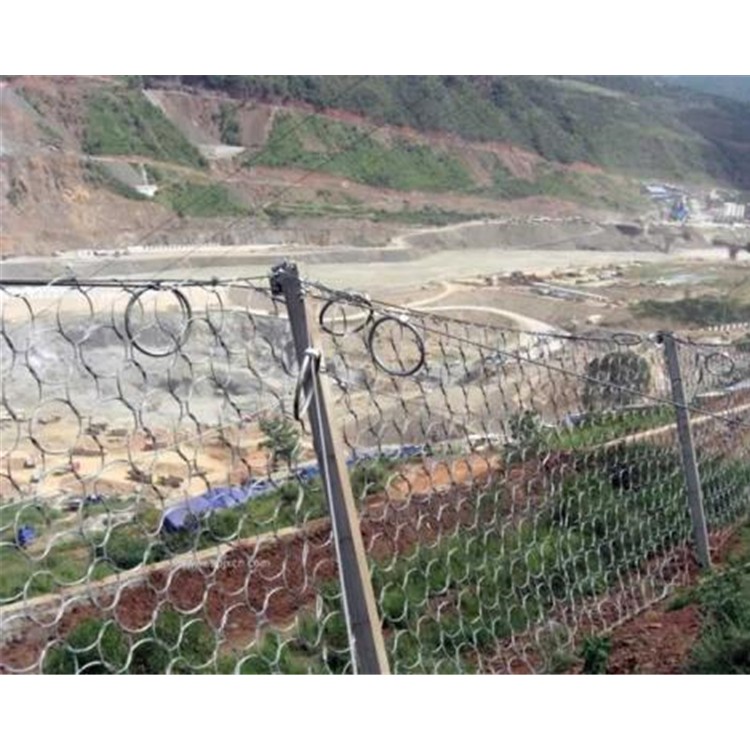 被動防護網(wǎng)生產(chǎn)廠家供應被動柔性防護網(wǎng) 邊坡柔性主動防護網(wǎng)