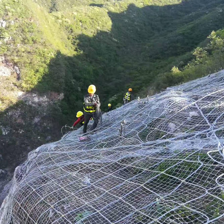 邊坡支護網(wǎng)1