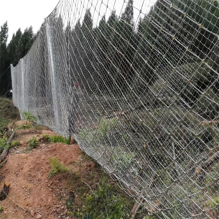 高速公路柔性防護(hù)網(wǎng) 6