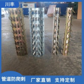 川豐-防爬刺釘-燃?xì)夤艿婪琅来?小區(qū)學(xué)校防盜刺防爬刺