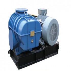 羅茨風(fēng)機(jī) 羅茨風(fēng)機(jī)價(jià)格 氣力輸送羅茨風(fēng)機(jī)廠家 限時(shí)特惠