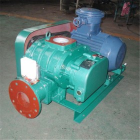 煤氣加壓羅茨風(fēng)機(jī) 羅茨鼓風(fēng)機(jī)價(jià)格 煤氣羅茨風(fēng)機(jī)廠家