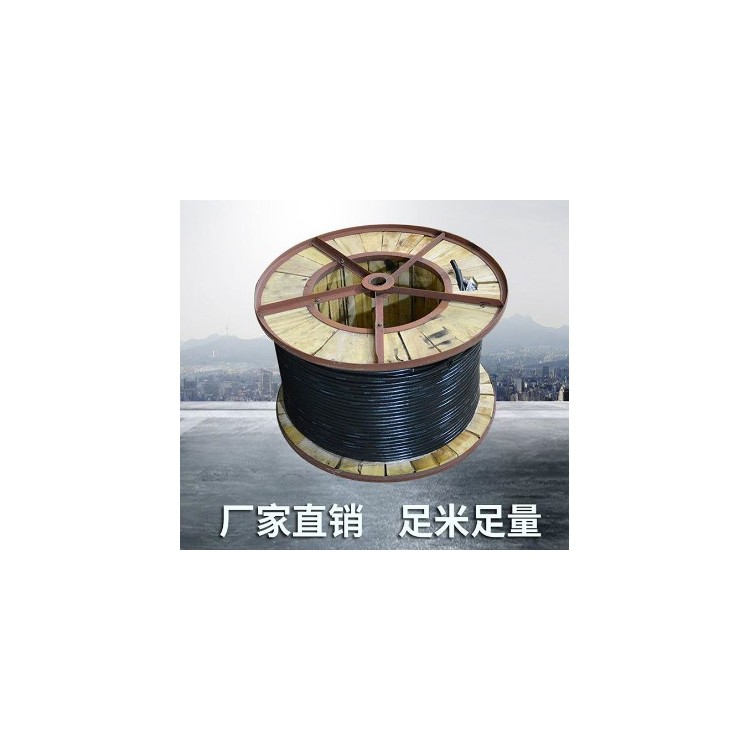 銅芯RV2.5組合電線 國(guó)標(biāo)防水電纜線 護(hù)套線電源線 純銅