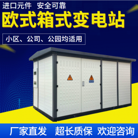 四川箱式變電站,成套電氣設(shè)備生產(chǎn)廠家,箱式變電站采購(gòu),支持定制