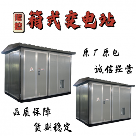 景觀式箱式變電站,防雨防塵,工期短價(jià)格優(yōu),傳控科技
