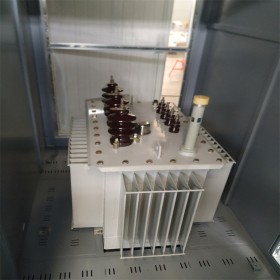 油浸式變壓器,支持定制,質(zhì)量保障,現(xiàn)場(chǎng)指導(dǎo),免費(fèi)咨詢,傳控科技