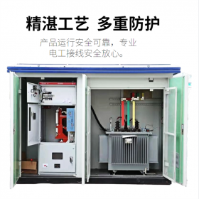 廣元YBW-1250KVA，箱式變電站,臨時(shí)用電變壓器,傳控科技