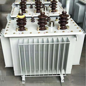 廣元電力設(shè)備直銷(xiāo),S11油變生產(chǎn),廠礦用的油浸式變壓器報(bào)價(jià),傳控科技