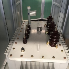 遂寧油浸式變壓器,油變生產(chǎn)廠家，電力變壓器質(zhì)量好,傳控科技