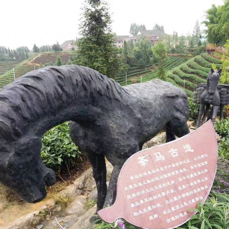 黃金芽茶苗 廠家供應(yīng) 龍井43茶苗 批發(fā)價(jià)格