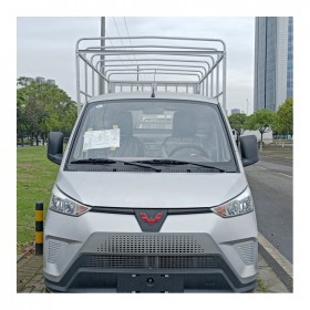 電領(lǐng)動新能源 五菱EV50高欄2.7運(yùn)輸車 價(jià)格實(shí)惠