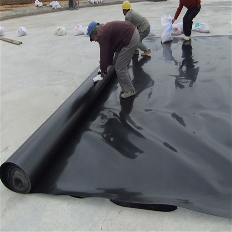 四川垃圾填埋場(chǎng)土工膜 防滲土工膜加工定制 土工膜批發(fā)