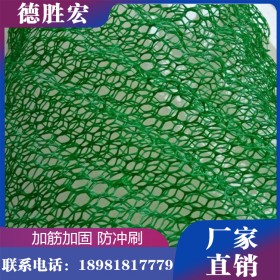 德勝宏 四川三維植被網(wǎng)廠家供應(yīng) 大量現(xiàn)貨，可咨詢