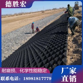 德勝宏 四川土工格室廠家供應(yīng) 河道固土護(hù)坡土工格室價格