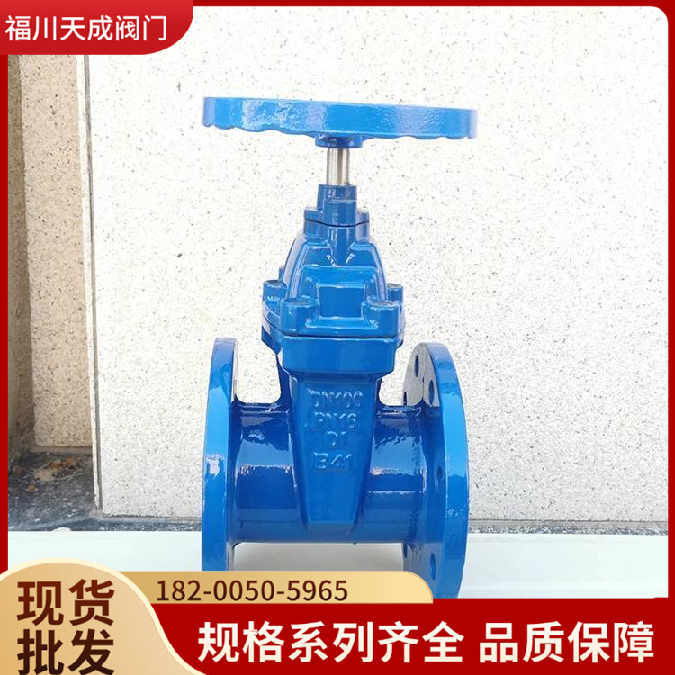 暗桿軟密封閘閥Z45X-16Q給排水管道接通或截斷閥門批發(fā)