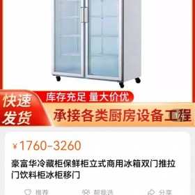 冰柜冰箱展示柜陳列柜保鮮冷藏推拉門(mén)雙開(kāi)門(mén)