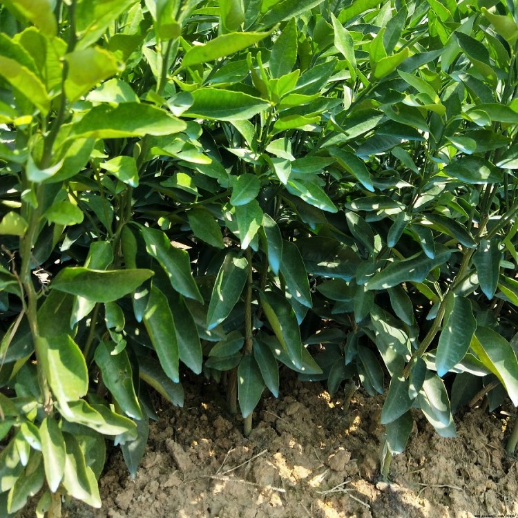 24566_20181007133003 (1)