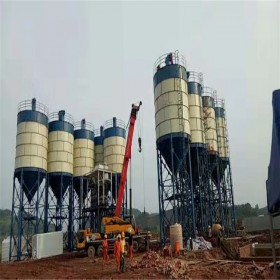 廠家供應(yīng)立式水泥倉 300噸散裝水泥罐 支持定制 包安裝 精華機(jī)械