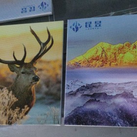 成都PVC板材打印圖案 uv彩印噴印  廣告展板寫真 廠家供應(yīng)可定制