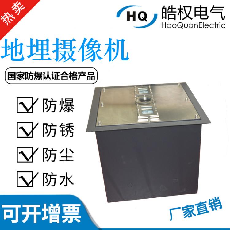 地埋式攝像機(jī)監(jiān)所出入口車(chē)輛底盤(pán)安全檢查