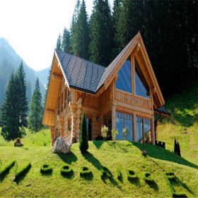 成都防腐木木屋定制 別墅木屋造價 木屋別墅廠家