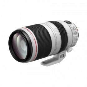 佳能 EF 100-400mm f/4.5-5.6L IS II USM 兼顧高畫質(zhì)與操作性的L級遠攝變焦鏡頭