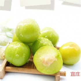 四川優(yōu)質(zhì)李子苗批發(fā)基地 簡陽宜莊  李子苗批發(fā)售價